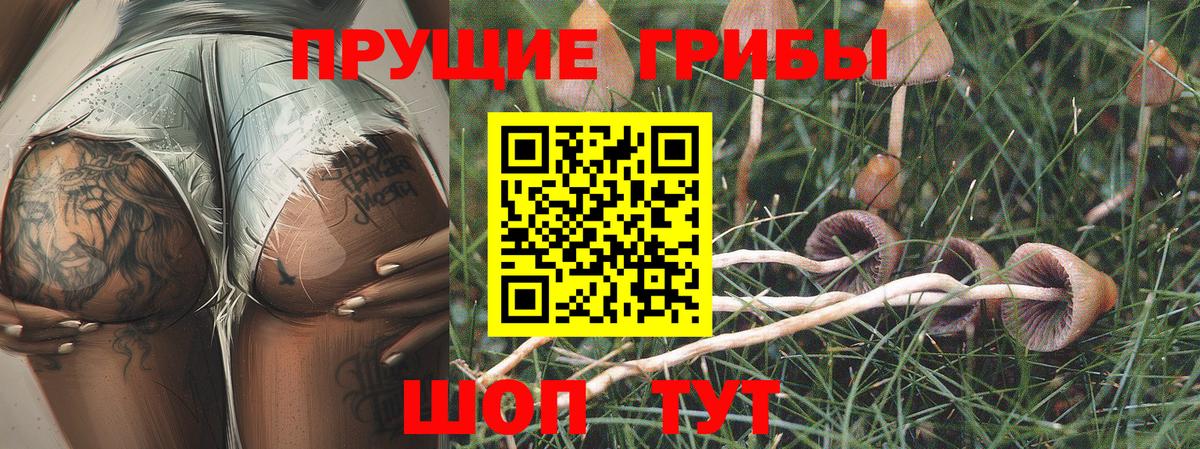 наркотики  Псилоцибиновые грибы GOLDEN TEACHER  Вход с VPN  Шарыпово 